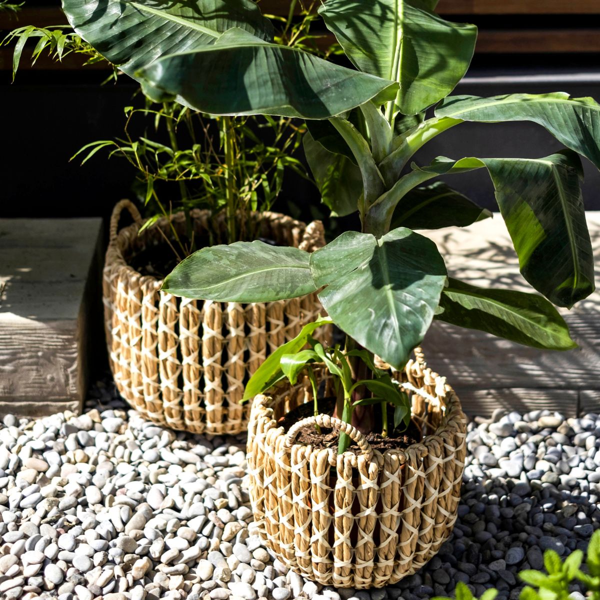 Set de 2 cestos de fibra natural