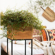 Rustic wooden floor pot