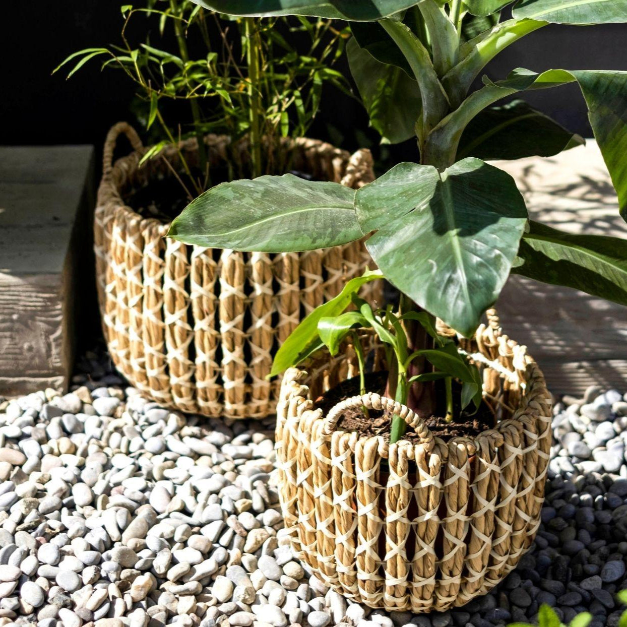 Set of 2 natural fiber baskets