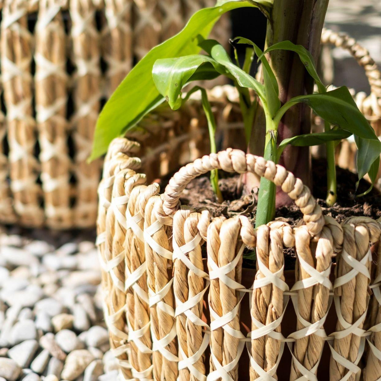 Set of 2 natural fiber baskets