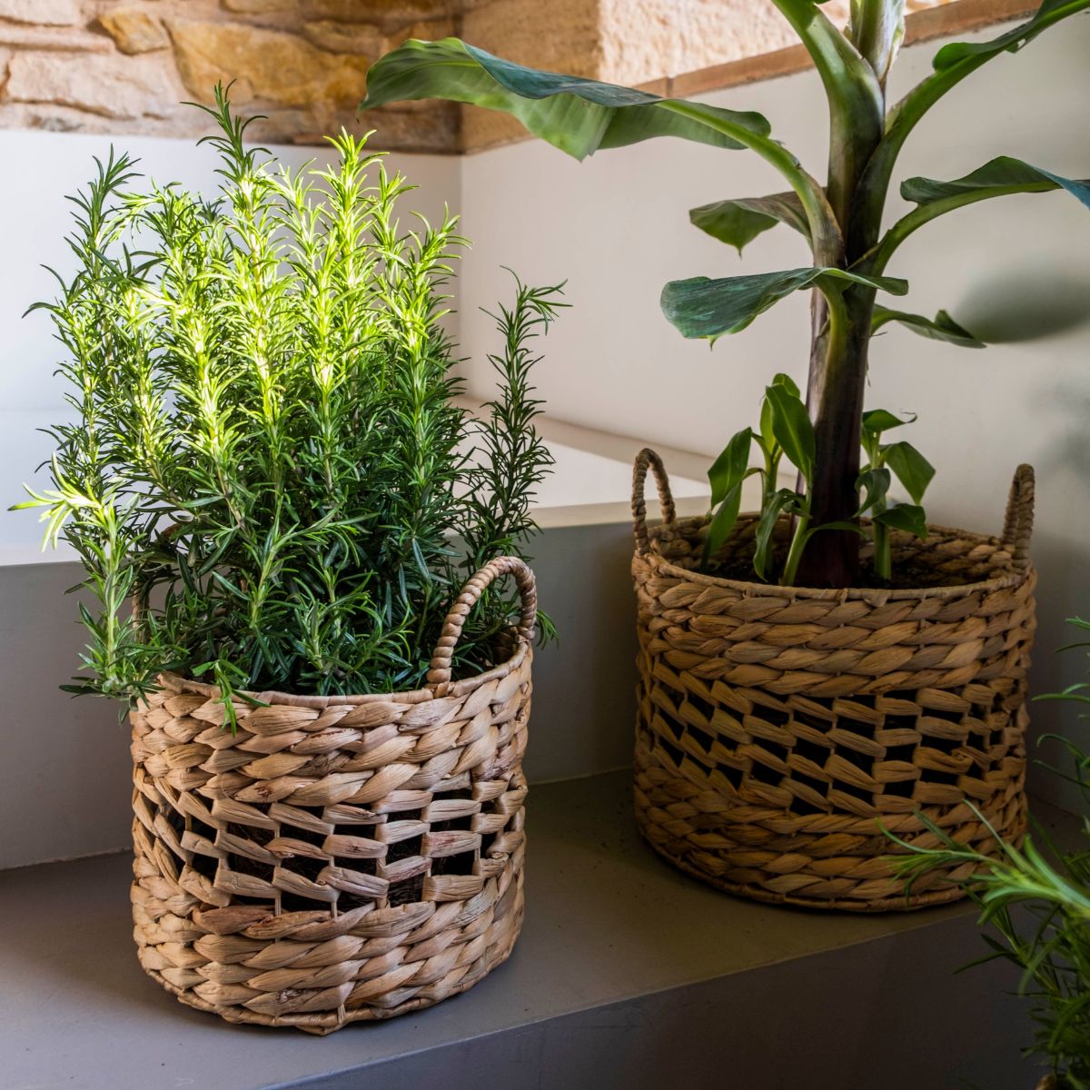 Set of 3 woven natural fiber baskets