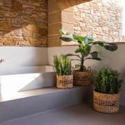 Set of 3 woven natural fiber baskets