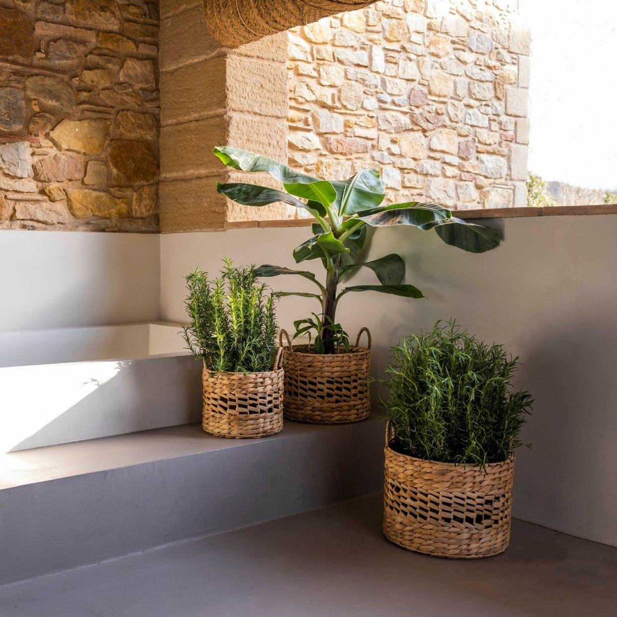 Set of 3 woven natural fiber baskets
