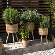 Set of 2 wicker floor-standing planters