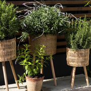 Set of 2 reed planters