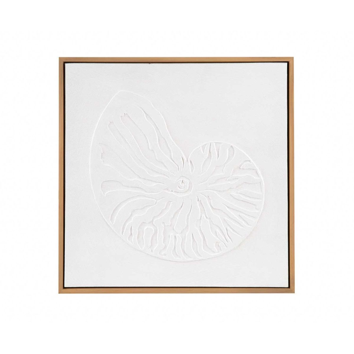 Cuadro abstracto caracola Nautilus 40 x 40