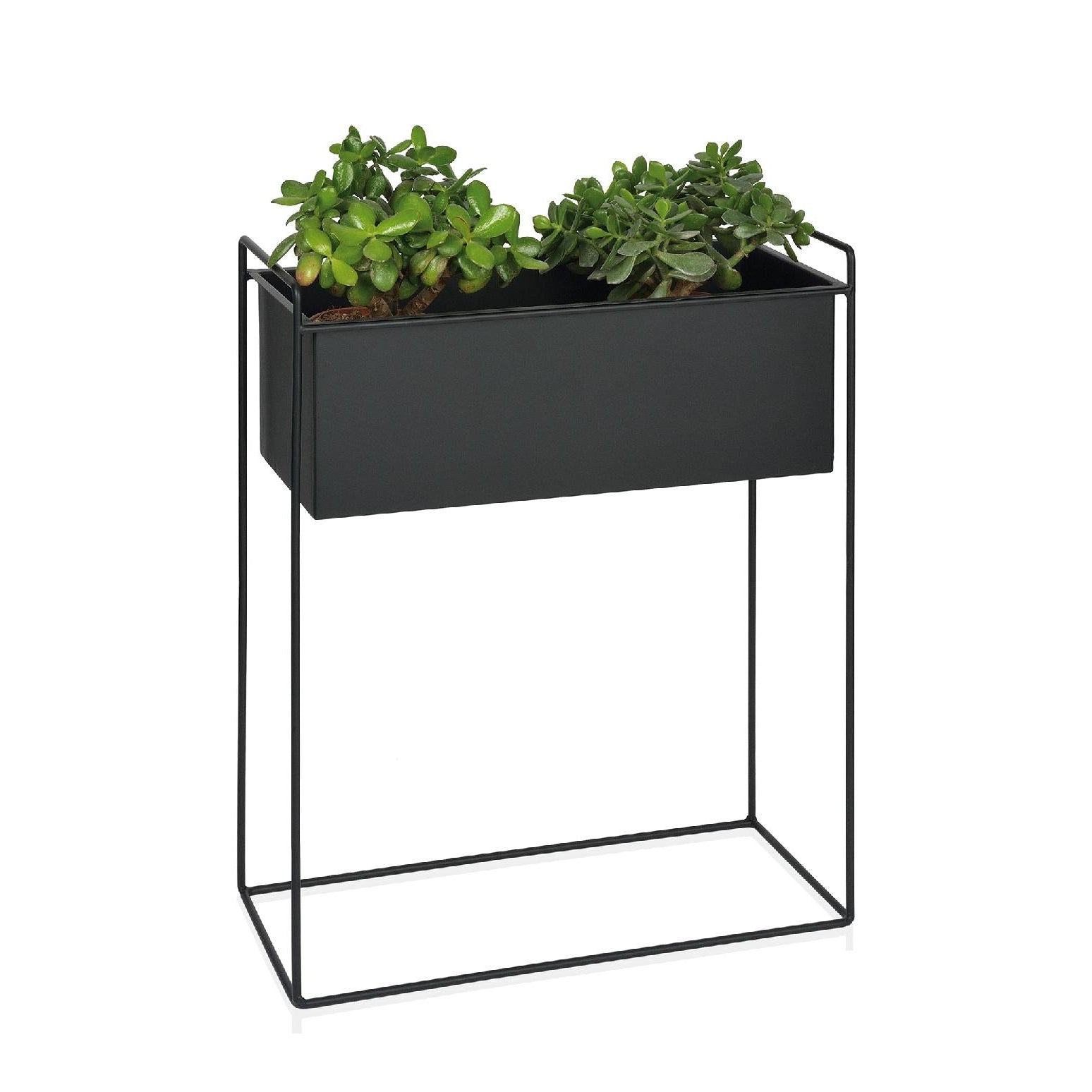 Black metal planter