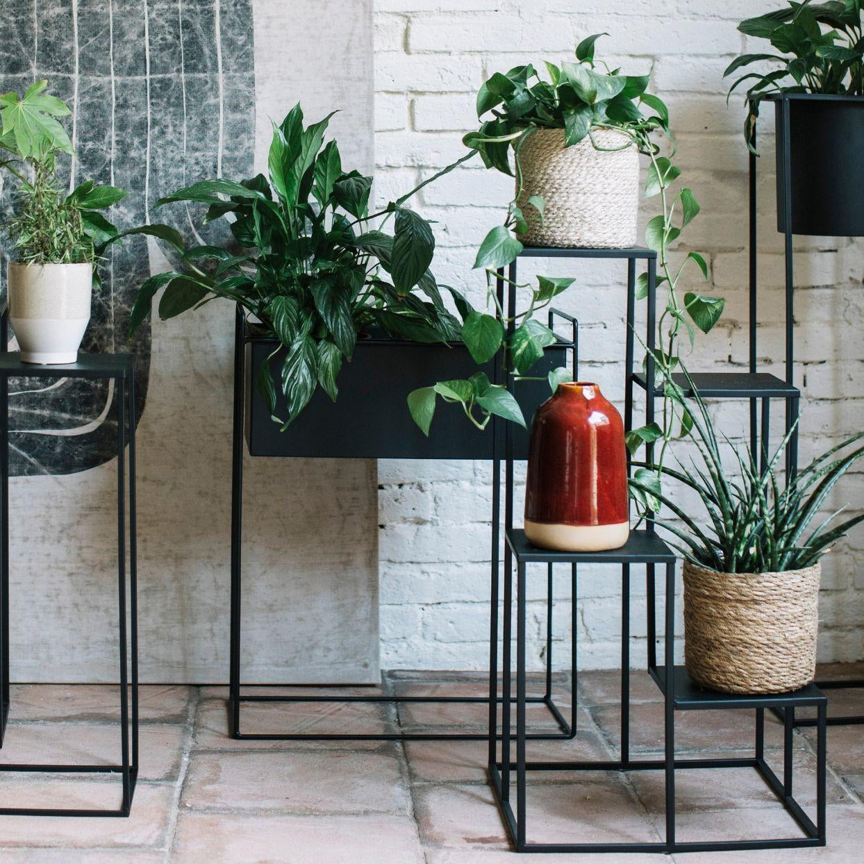 Soporte para plantas de metal negro