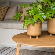 Beige ceramic tabletop pot 18cm