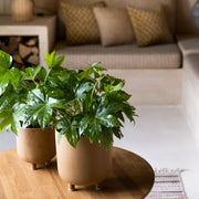 Beige ceramic tabletop pot 23cm