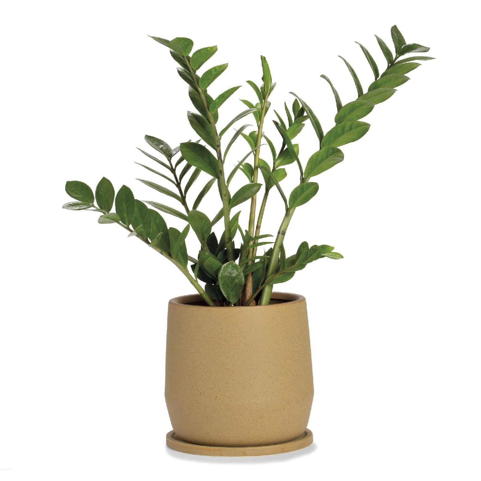 Decorative beige ceramic pot 22cm