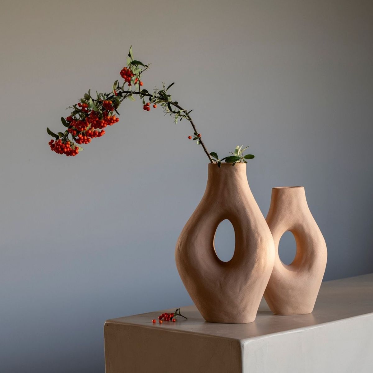 Jarrones decorativos de terracota con rama seca