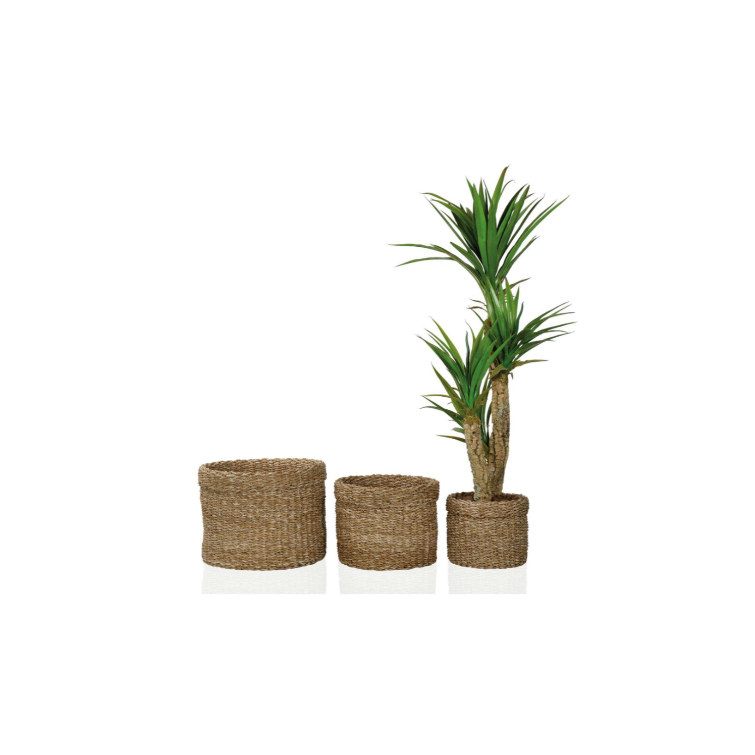 Set of 3 multipurpose natural fiber baskets