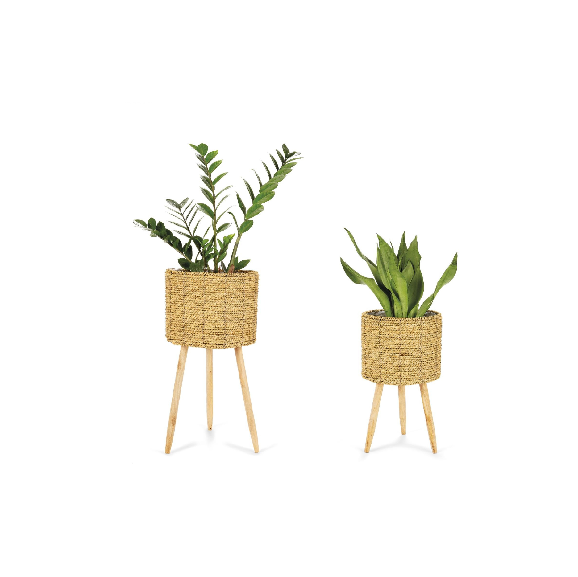 Set of 2 reed planters