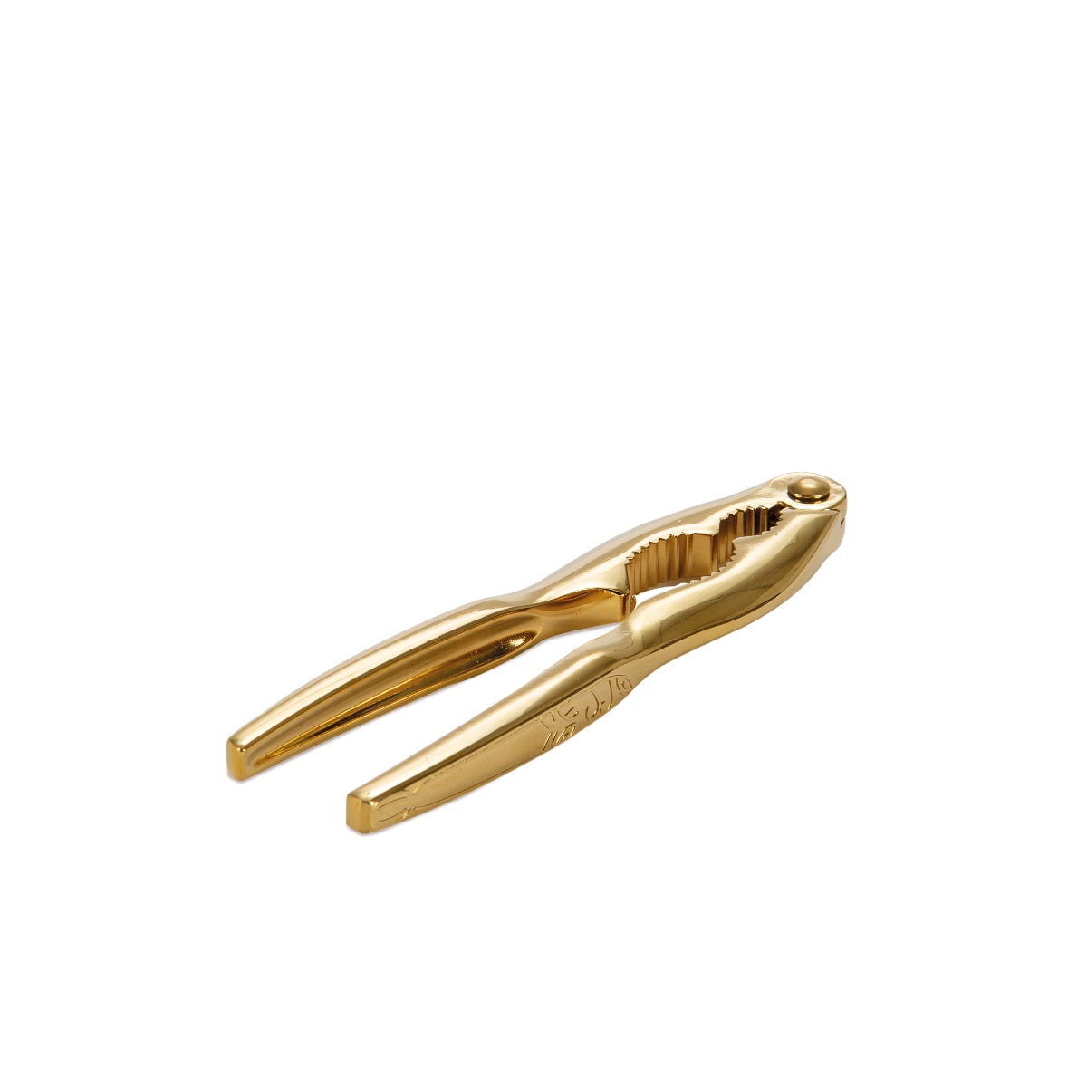 Gold Steel Seafood Opener Kit