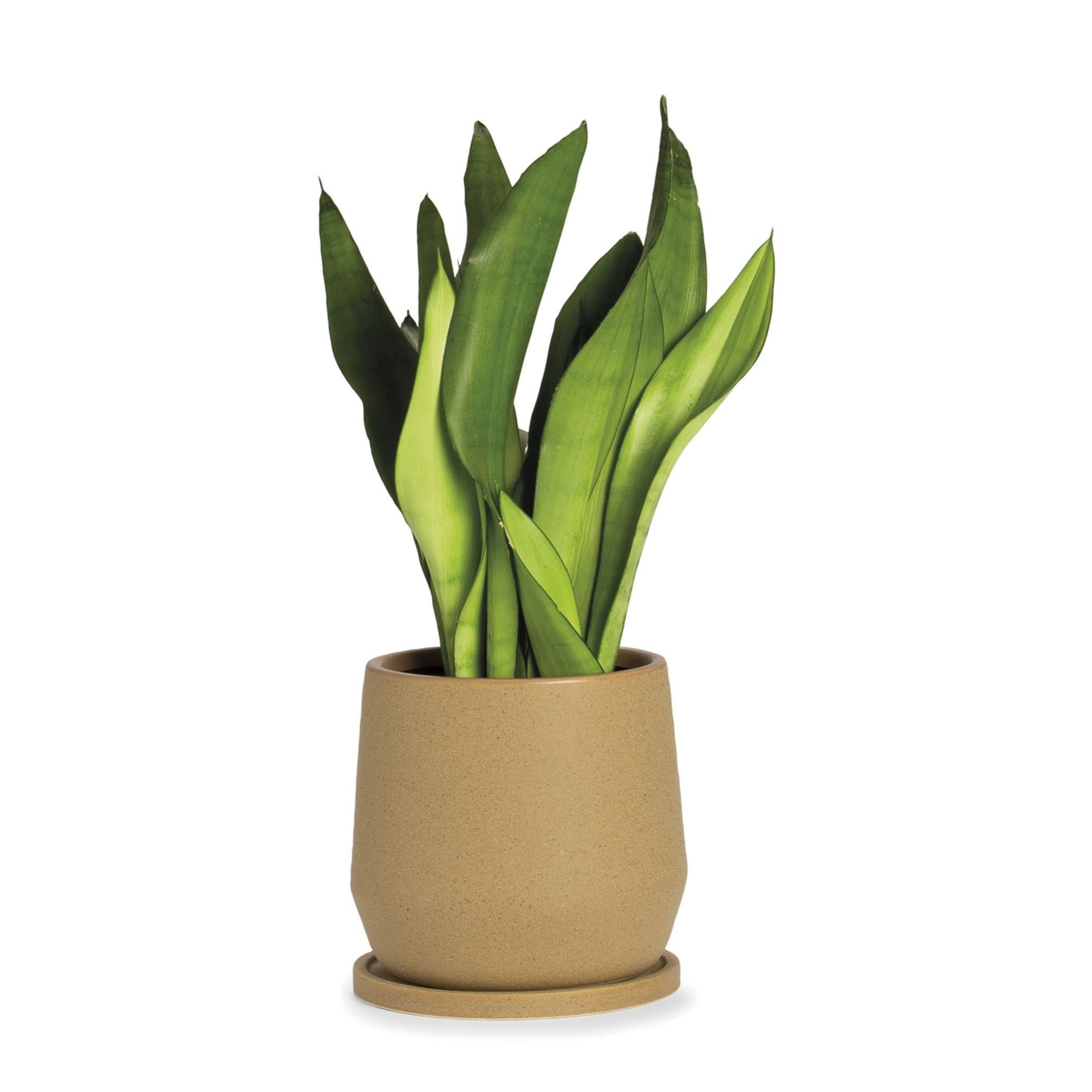 Decorative beige ceramic pot 18cm