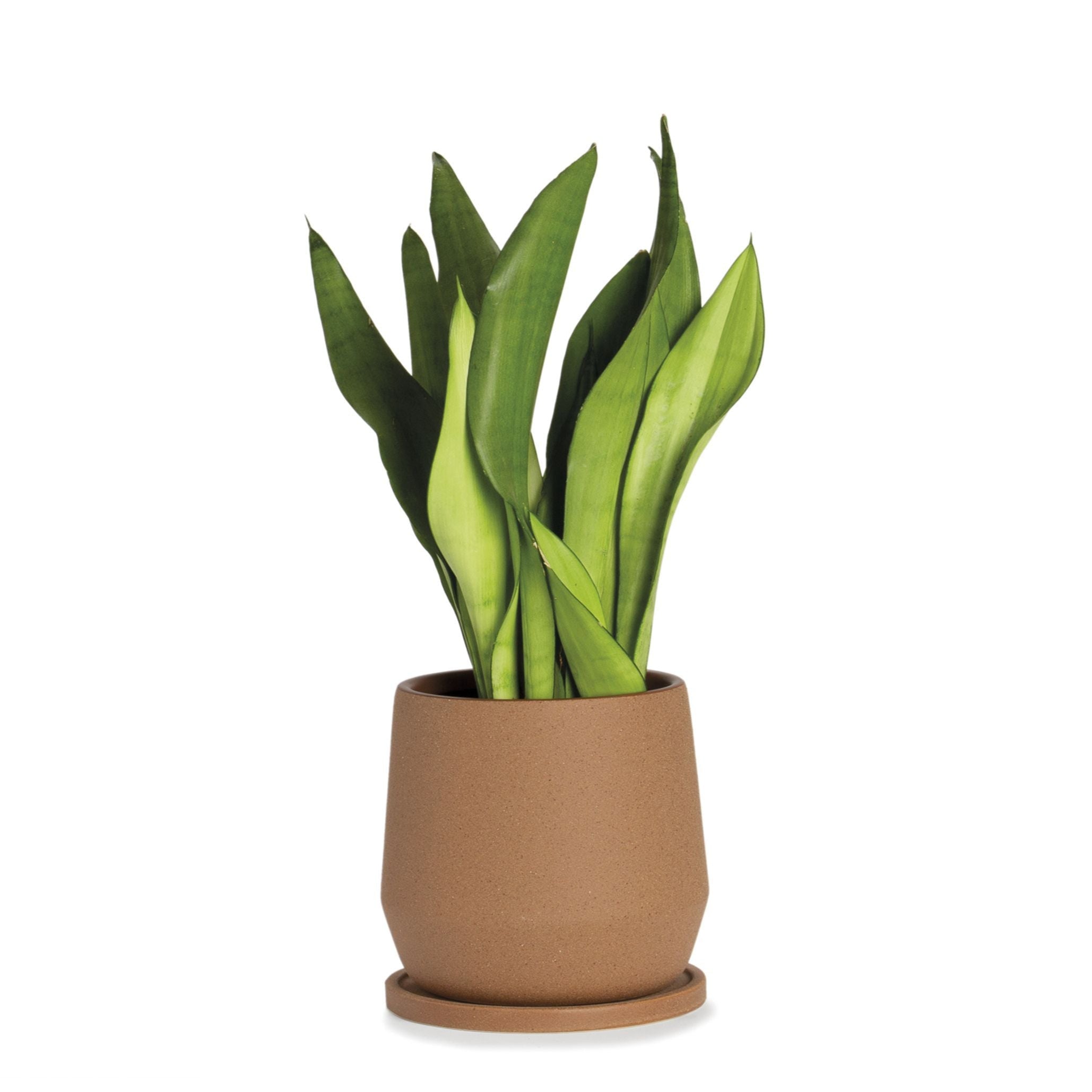 Decorative brown ceramic pot 18cm