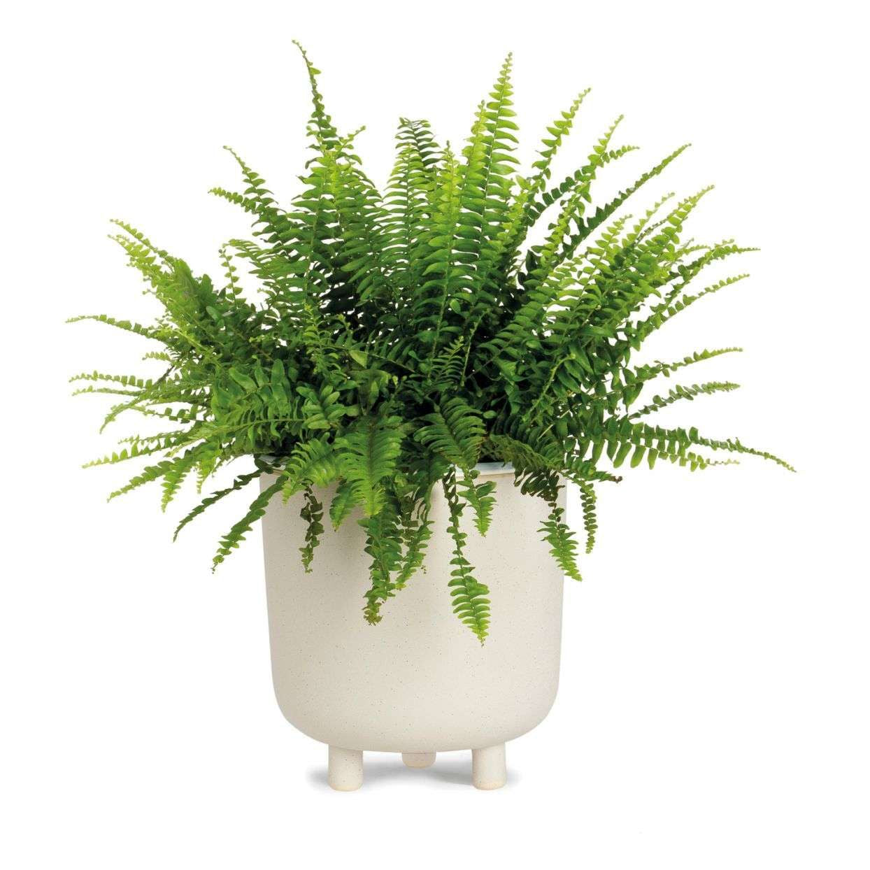 White ceramic tabletop pot 23cm